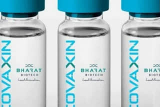 'Covaxin likely to be available for public use by Feb'