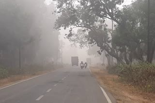 fog in deoghar