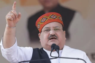 BJP's win in Rajasthan local polls shows trust of poor, farmers, labourers in PM Modi: Nadda