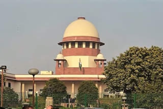 sc-allows-student-to-join-iit-for-his-course