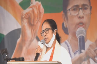 I'll resign if someone else does job like me says mamata banerjee