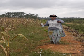 Woman farmer suicide