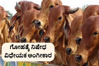 anti cow slaughter bill passed in seesion