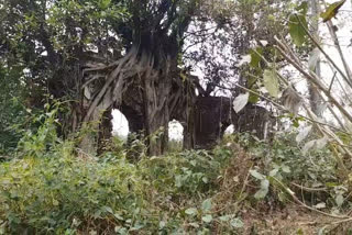 rampuri historical mosque of piyado which was demolished by land mafia
