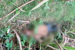 unknown dead body found in mandya