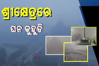 ଘନ କୁହୁଡିରେ ଆଚ୍ଛାଦିତ ପୁରୀ ସହର