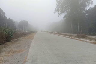 Cold and fog in rudrapur udham singh nagar