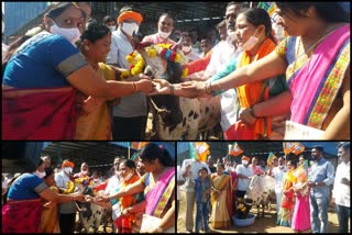 cow slaughter amendment bill passed welcomed by worshiping cow at koppal