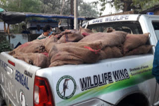 forest-department-recovers-thousands-of-turtles-from-pick-up-van