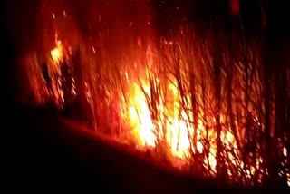fire-to-10-acres-of-sugar-cane-in-chikkodi
