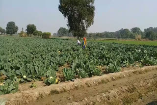 sonipat farmers protest