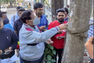 Nail Free Tree campaign