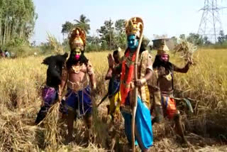 paddy harvest for Koti Talambaras in east godavari