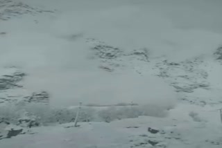 An avalanche hit Tozing Village in Lahaul-Spiti district