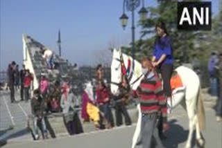 Shimla's horse owners facing economic hardships due to lack of tourists amid pandemic  കൊവിഡ് പ്രതിസന്ധിയിൽ കുതിരകളുടെ ഉടമകൾ  പ്രതിസന്ധിയിൽ കുതിരകളുടെ ഉടമകൾ  കുതിര സവാരി  Shimla's horse owners