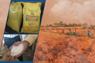 neem-coated-urea-is-useful-for-farmers-in-mahasamund