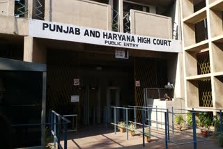 highcourt rejects petition reservation haryana