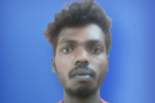 young man murdered his grandmother for not calling for biriyani in vellore