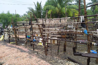 Damage to fishermen due to unseasonal rains