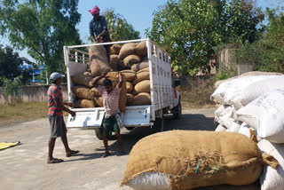 Paddy procurement began in mandi after the intervention of the ARCS
