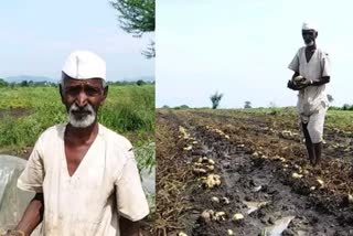 65-lakh-farmers-not-benefited-from-cm-farmer-welfare-scheme-in-madhya-pradesh