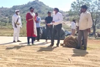 collector harichandana toured in marikal and dhanwada mandals in narayanapet district