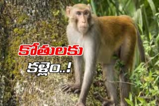 State government measures to control monkeys