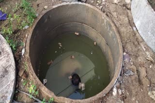 North inadian worker dies in septic tank  North inadian worker dies in septic tank in adyar  chennai septic tank deaths  septic tank deaths  வடமாநிலத் தொழிலாளி கழிவுநீர் தொட்டியில் உயிரிழப்பு  கழிவுநீர் தொட்டி உயிரிழப்புகள்