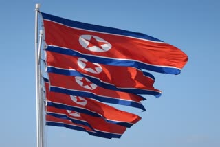 North Korea accused of using virus to crack down on rights