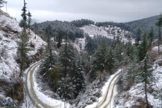 snowfall in kufri