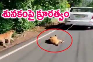 Pet dog tied to car, dragged down road; Man arrested in Kerala