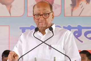 ncp leader sharad pawar birthday special story