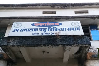 Veterinary dispensary in Surajpur