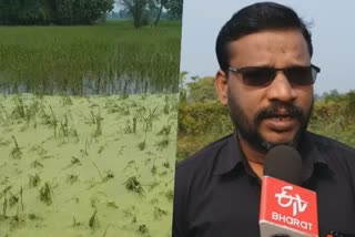 nannilam flood affected land