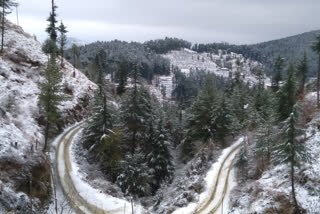 Himachal: Snowfall continues in Theog, Kufri and Narkanda