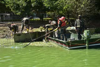 ulsoor lake