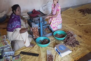 economic status of women is strengthening with tamarind In Dantewada district