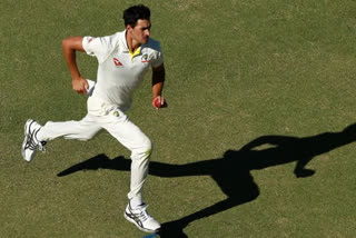 Starc to be back in Australia squad