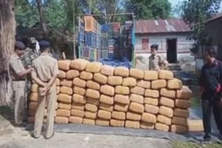 huge-weed-seized-in-tripura