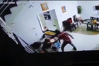 Attack on elderly woman