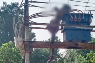 eb transformer death in viluppuram