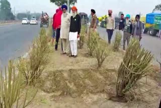 farming on highway rohtak