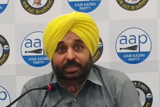 Captain pretending to support farmers: Bhagwant Mann