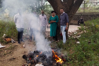 annis removes black dolls hanging from trees in khadki pune