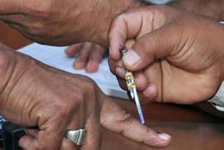 voting for final phase of local body polls in 4 districts of kerala today