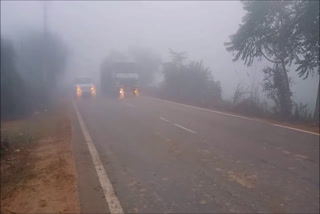 palwal police issued advisory to avoid fog