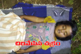 girl fell under the bullock cart and died in bhadradri kothagudem district