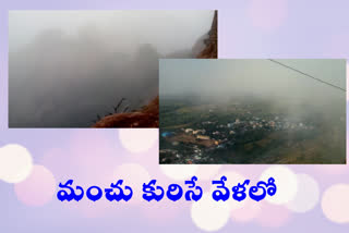 smoky snow beauties that pervade the hill at ananthapuram district