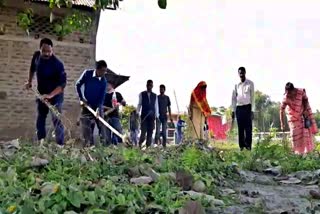 plantation drive at narayanpur in lakhimpur