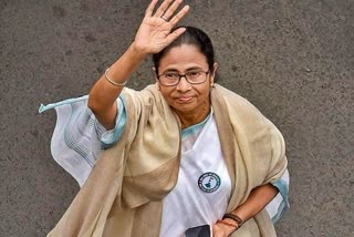 Mamata